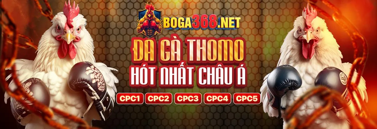 Cá cược thể thao 88vip nhà cái